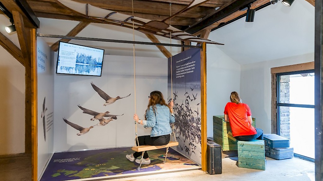 Auf einer Flugschaukel nach der Darstellung von Leonardo da Vinci kann der Besucher den Reiseweg der Saatgans verfolgen.  Bildquelle: Umweltbildungszentrum Schatzinsel Kühkopf, Hofgut Guntershausen, Stockstadt am Rhein; Foto Kristof Lemp