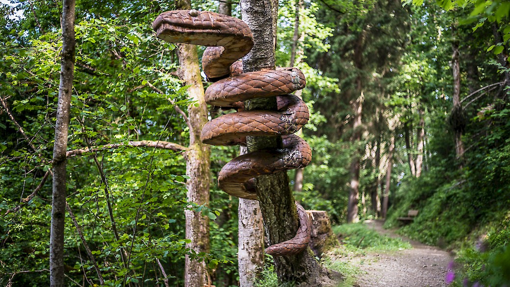 Äskulapnatter als Symbol für den Onkologen und Chirurgen Ritter Julius von Hochenegg. (c) Zell am See-Kaprun Tourismus-http://zellamsee-kaprun.com