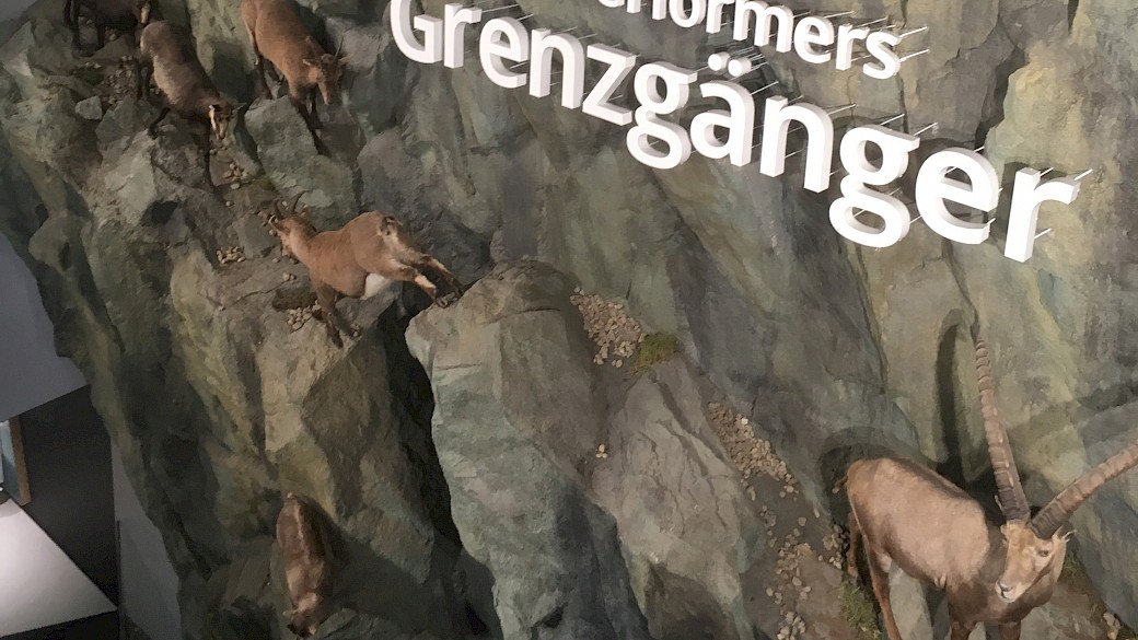 In dieser steilen Felslandschaft können nur die besten Kletterer überleben.